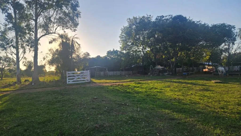VENDO RANCHO HEBRON 30 HECTÁREAS PRODUCTIVAS EN YBYCUI — foto 3