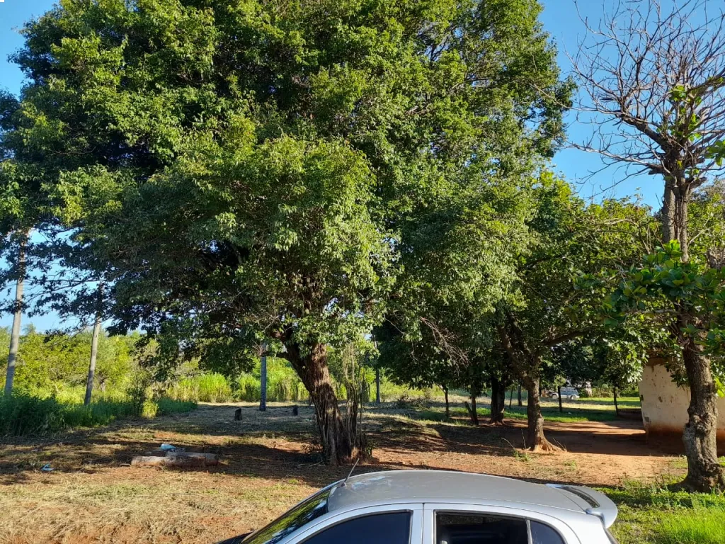 Terreno en Aregua — foto 3