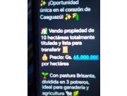 Vendo 10 hectáreas en Caaguazú