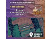 Gran terreno de 4 hectáreas San Blas Independencia