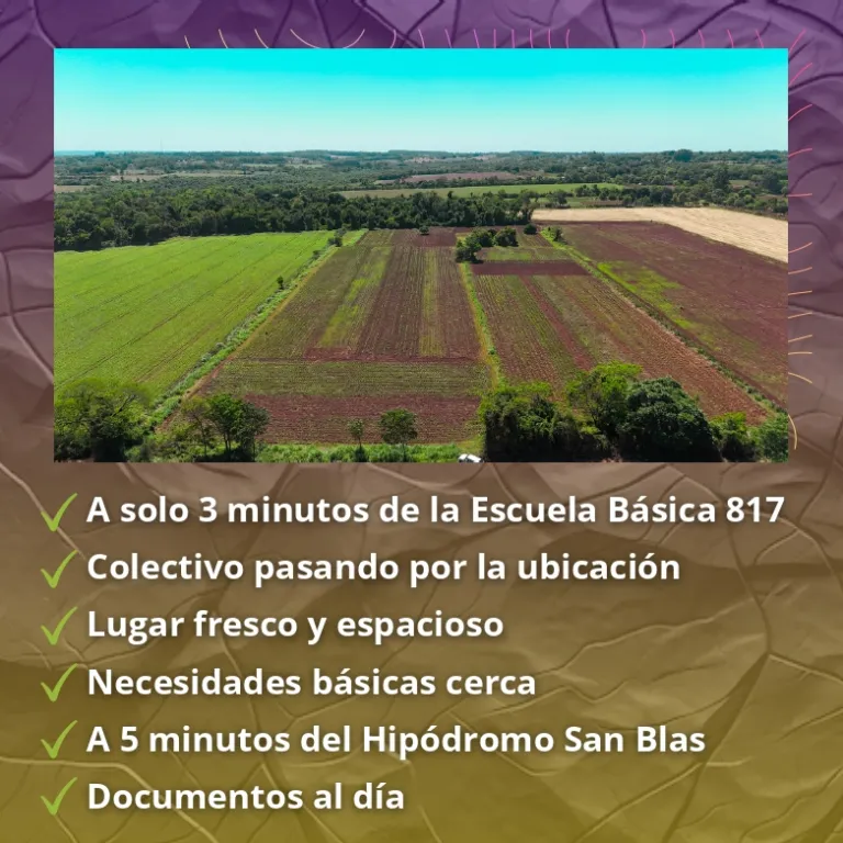 Gran terreno de 4 hectáreas San Blas Independencia — foto 2