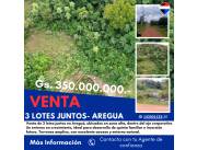 ¡3 Terrenos Juntos en Isla Valle, Areguá!