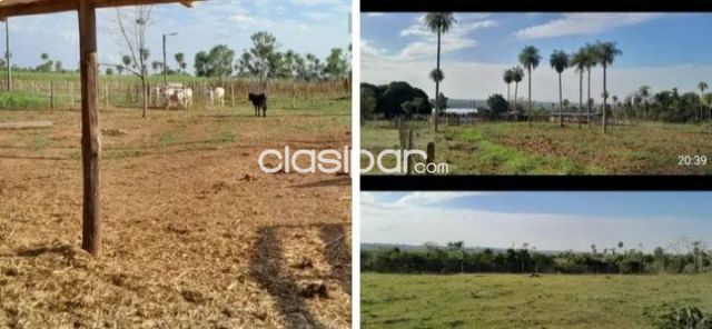 Propiedades rurales - 12 hectáreas en piribebuy