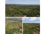 7 hectáreas en altos