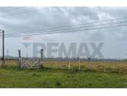 VENDO 30 HECTAREAS PRODUCTIVAS EN MISIONES