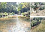 4 hectáreas en piribebuy