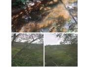 16 hectáreas en paraguari