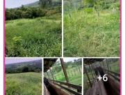 Alquilo 2600 hectáreas en concepción