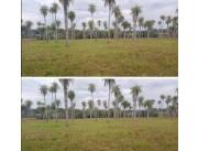 10 hectáreas en yaguaron