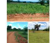 17 hectáreas en paraguari