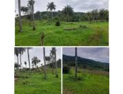 8 hectáreas en piribebuy