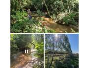 22 hectáreas en piribebuy