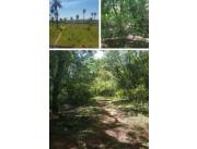 7 hectáreas en caacupe