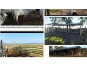 2300 hectáreas en ruta 12