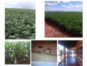 12.500 hectáreas en villa ygatimi