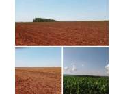 2400 hectáreas en caazapa