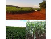 11.400 Hectáreas en Caaguazú