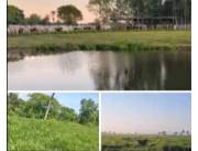 215 hectáreas en paraguari