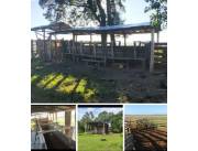 360 hectáreas en el chaco