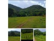 14 hectáreas en colonia independencia