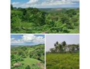 52 hectáreas en colonia independencia precio por hectáreas