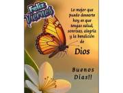 Busco trabajo de empleada doméstica