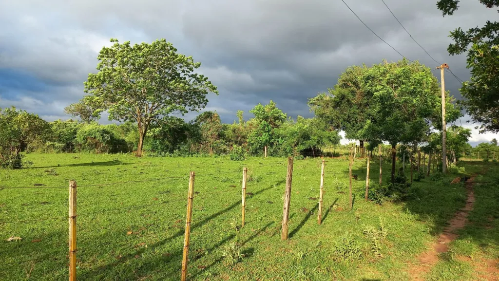 Vendo Hermosa Propiedad de 25 Hectáreas en Quiindy — foto 3