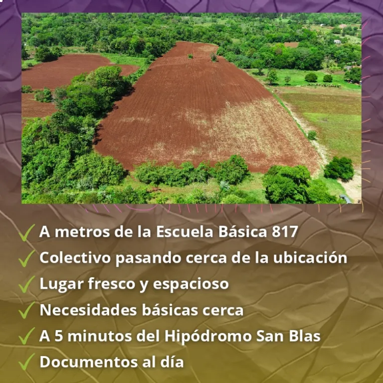 Terreno plano de 3 hectáreas San Blas Indepencia — foto 2