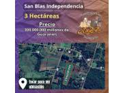 Terreno plano de 3 hectáreas San Blas Indepencia