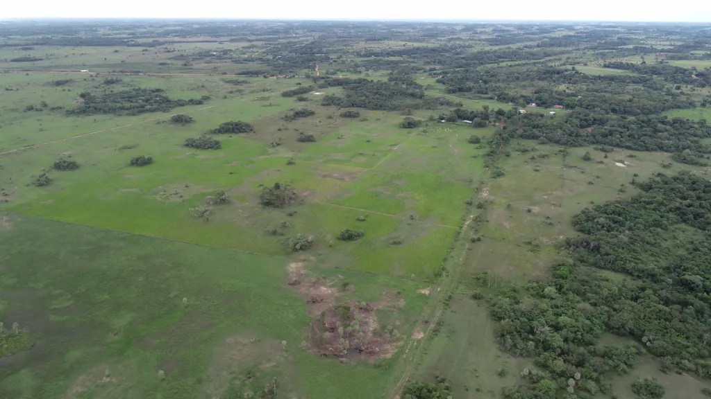 Campo Ganadero en Belén - 170 Ha. — foto 2