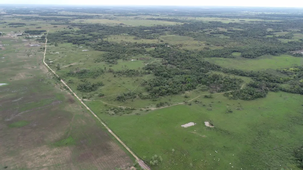 Campo Ganadero en Belén - 170 Ha. — foto 3