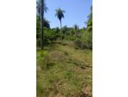 VENDO EN PIRAYÚ UN POCO MÁS DE SEIS (6) HECTÁREAS