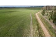 Campo Ganadero/Forestal en SanPedro del Paraná - 2169 Ha.