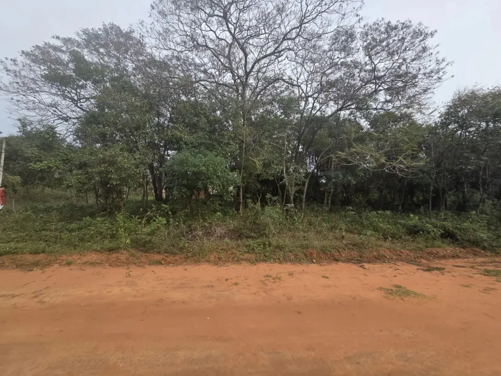 Terreno en venta en Marin KaAguy, Luque — foto 2