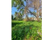 VENDO TERRENO UBICADO SOBRE AVENIDA PRINCIPAL EN SAN LORENZO, ZONA PALACIO DE JUSTICIA