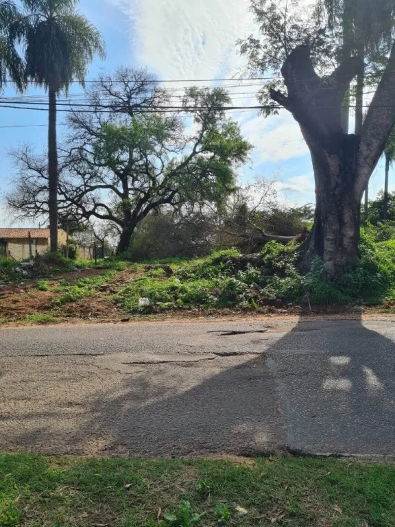 VENDO TERRENO UBICADO SOBRE AVENIDA PRINCIPAL EN SAN LORENZO, ZONA PALACIO DE JUSTICIA — foto 2