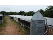 VENDO GRANJA AVICOLA