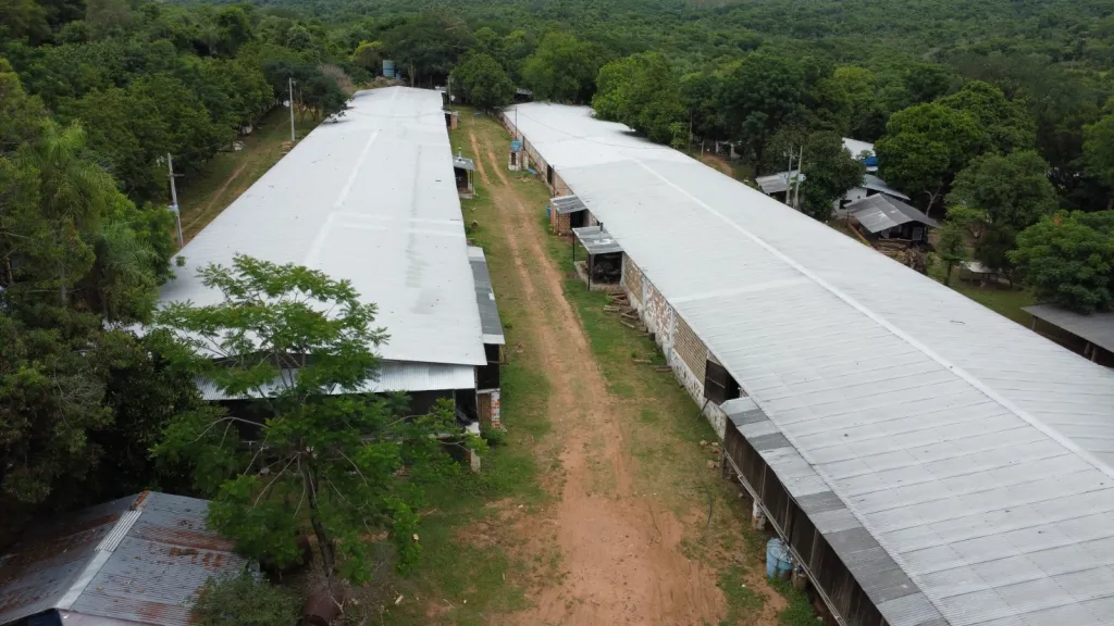 VENDO GRANJA AVICOLA — foto 2