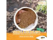 Ventas de semilla de abono verde