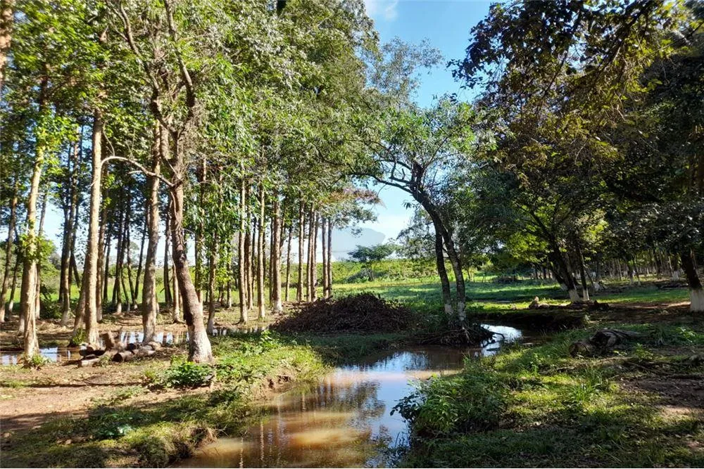 VENDO TERRENO EN YATAITY DEL NORTE — foto 2