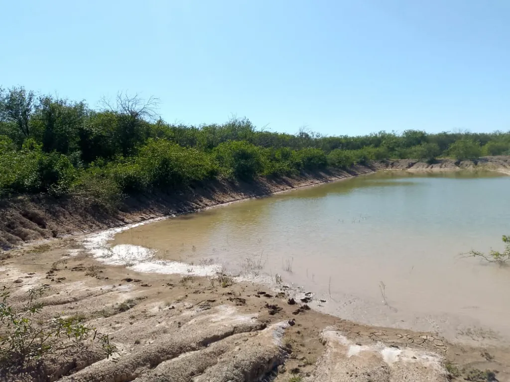 Tte. Esteban Martínez. Chaco. Pte. Hayes. Ruta XII. 185 ha., orientado a Ganadería. VdoFi — foto 2