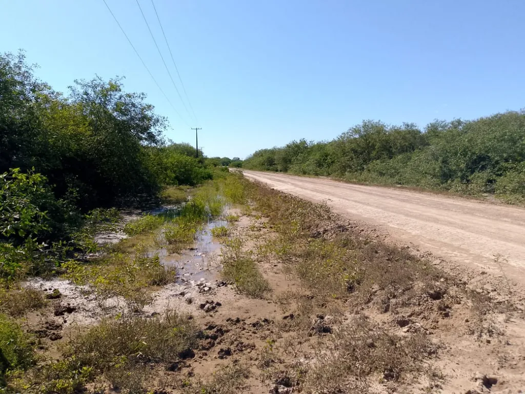 Tte. Esteban Martínez. Chaco. Pte. Hayes. Ruta XII. 185 ha., orientado a Ganadería. VdoFi — foto 3