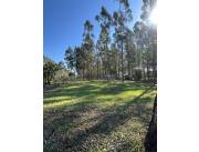 GRANJA DE 15.000 m2 VENDO EN KM 10 MONDAY CIUDAD DEL ESTE !!