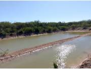 185 hectáreas Chaco Paraguayo 🇵🇾., orientado a Ganadería. Vdo/Cdo/óFinan/C/Entrega. Con