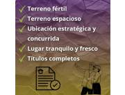 Terreno con casa construida frente Ruta 1