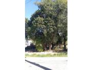 VENDO TERRENO EN MARIANO ROQUE ALONSO