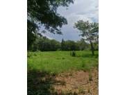 VENDO AMPLIO TERRENO EN LUQUE!