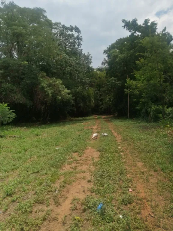 VENDO AMPLIO TERRENO EN LUQUE! — foto 2