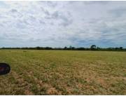 Campo agricola en venta 74 Hect