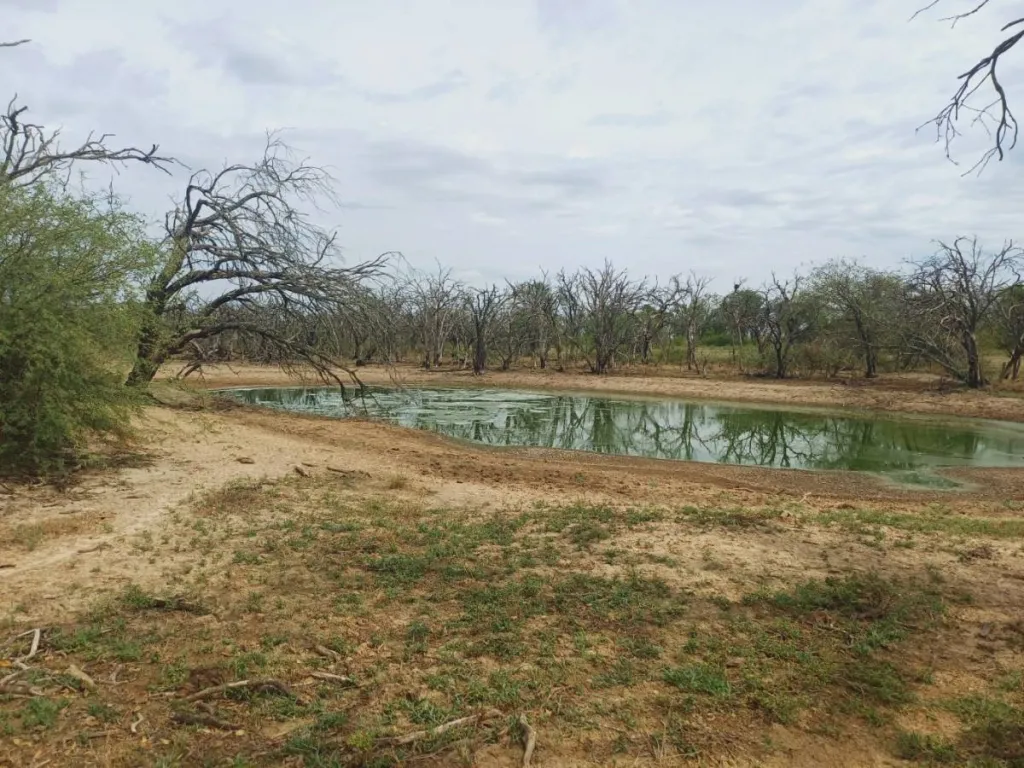Campo agricola en venta 74 Hect — foto 2